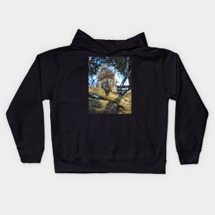 Here's looking at you Kids Hoodie